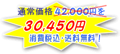 ���ʉ��i�F30,450�~
